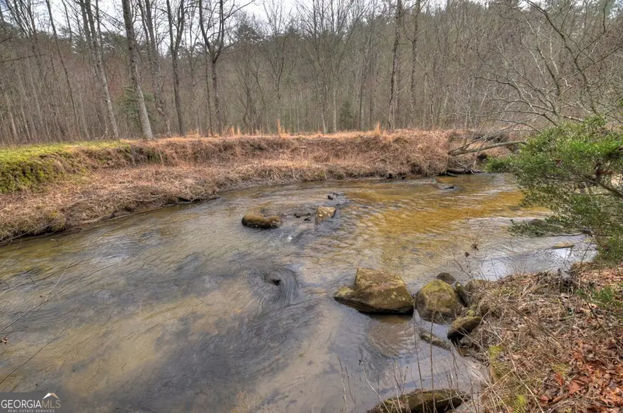 1175 Lickskillet Circle, Epworth, GA 30541 - #3