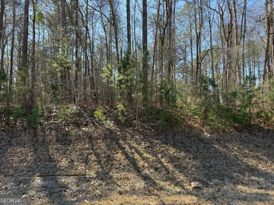 0 New Hutchinson Mill Road, Lagrange, GA 30240 - #2