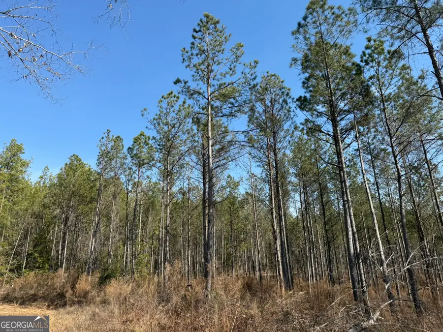 001 Allen Road, Musella, GA 31066 - #2