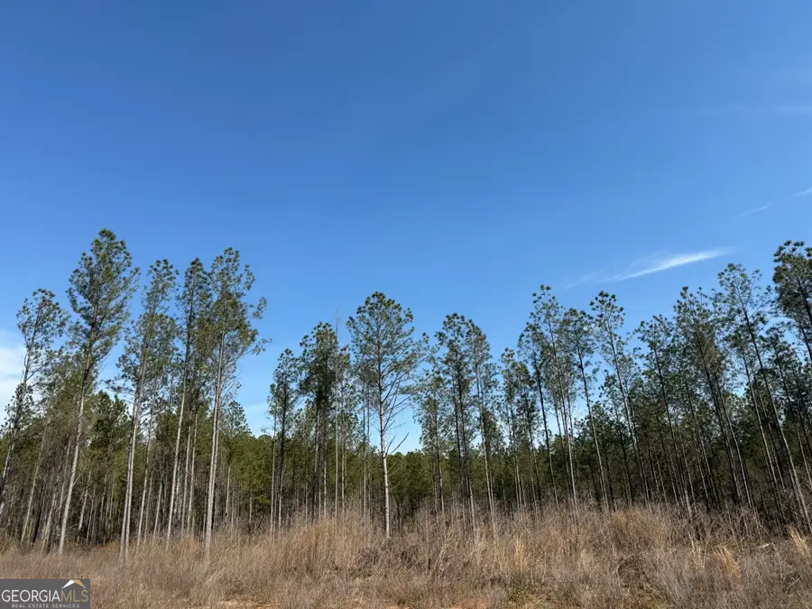 001 Allen Road, Musella, GA 31066 - #3