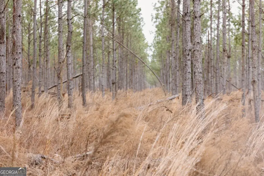 0 Bunn Store Road #TRACT 1, Midville, GA 30441 - #2