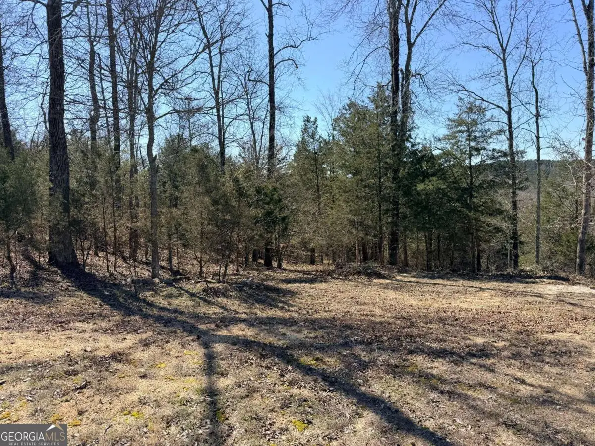 4012 Paulette Drive, Monroe, GA 30656 - #1