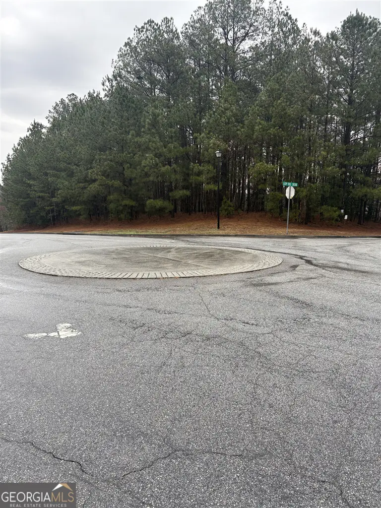 1205 Alcovy Ridge Drive, Loganville, GA 30052 - #3