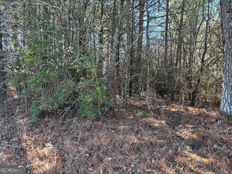 2515 Eastgate Place, Snellville, GA 30078 - #2