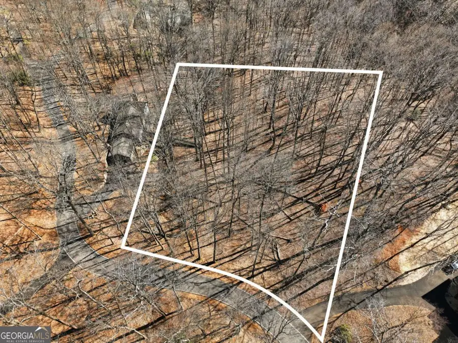 253 Windflower Drive, Big Canoe, GA 30143 - #3