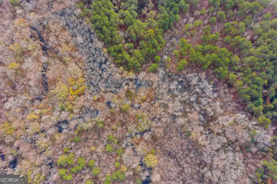 1000 Old River Road S, Brooklet, GA 30415 - #3