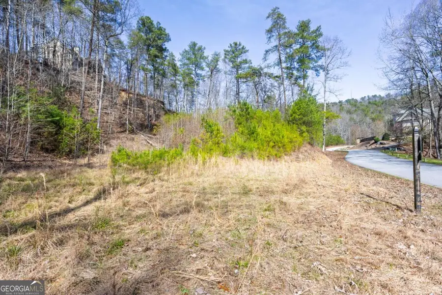 53 Somerset Lane, Cartersville, GA 30121 - #2