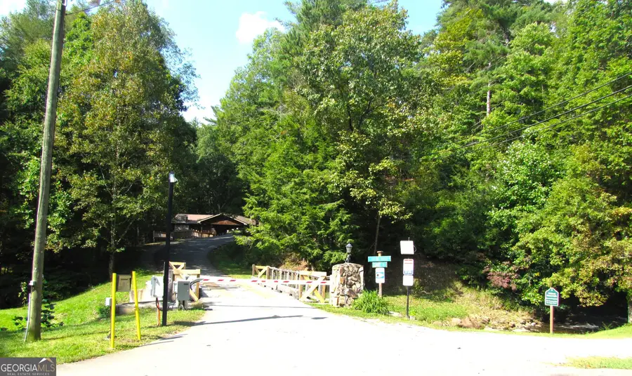 Q24 Goldmine Drive, Ellijay, GA 30536 - #2