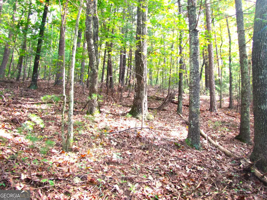 Q24 Goldmine Drive, Ellijay, GA 30536 - #3