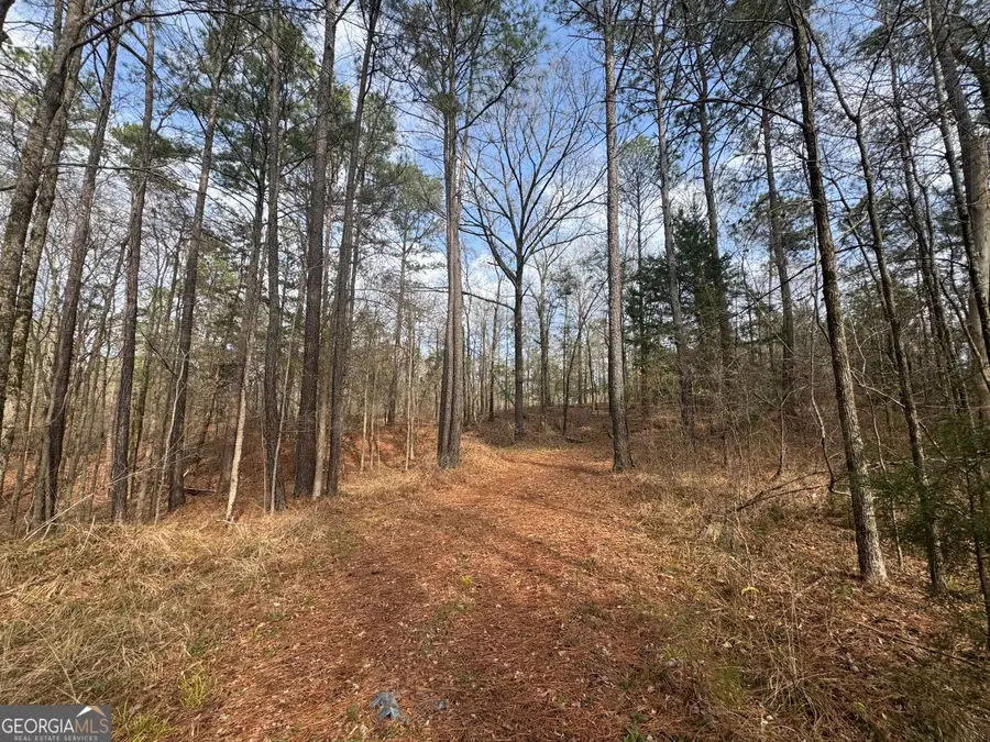 0 Highway 87, Forsyth, GA 31046 - #2