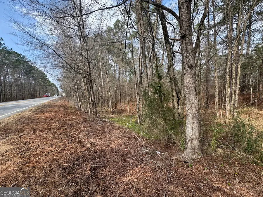 0 Highway 87, Forsyth, GA 31046 - #3