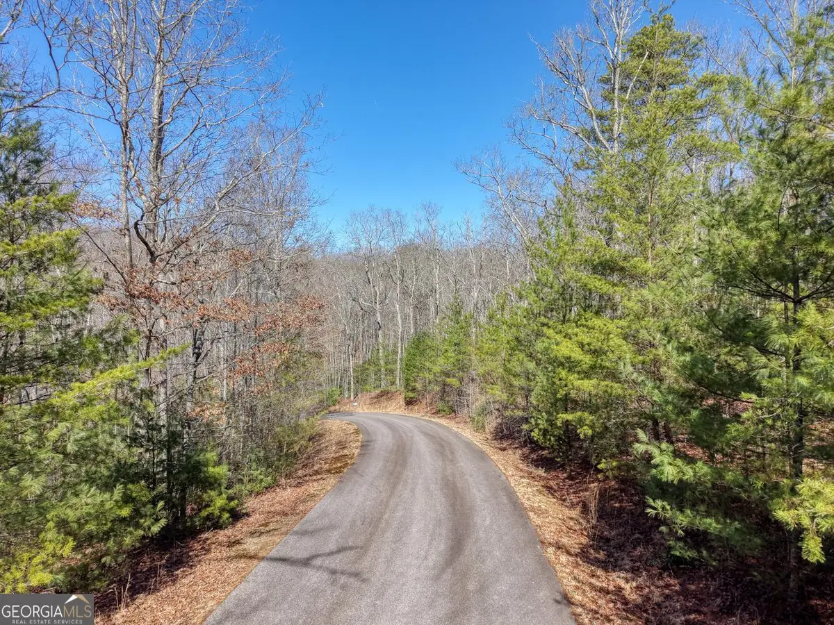 LOT 40 Lola Mae Way, Morganton, GA 30560 - #1