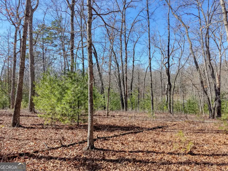 LOT 40 Lola Mae Way, Morganton, GA 30560 - #2