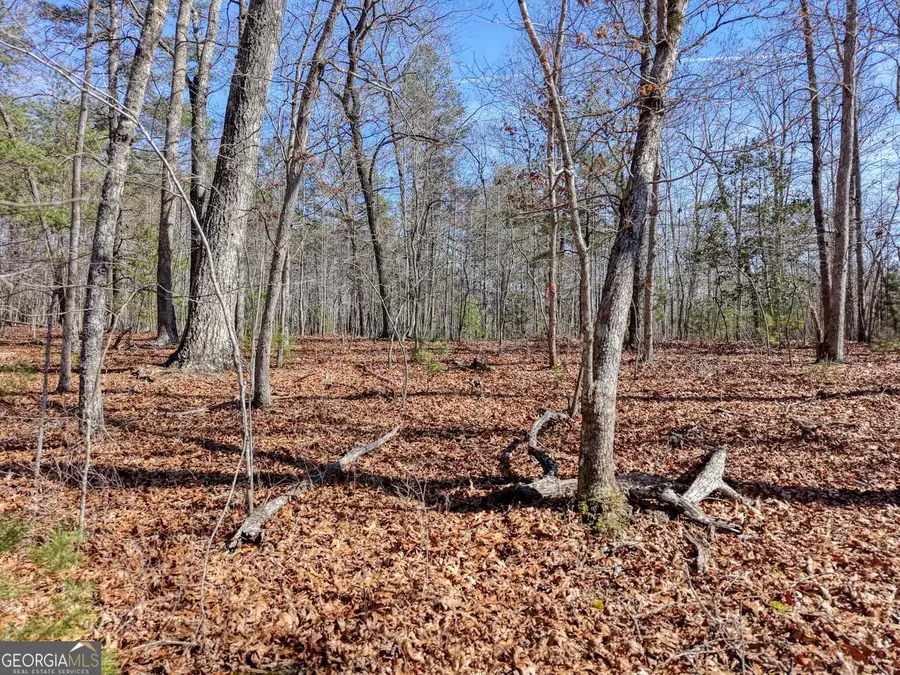 LOT 40 Lola Mae Way, Morganton, GA 30560 - #3