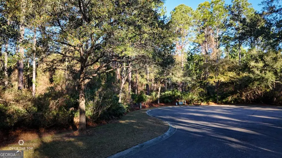 V/L 176 Gamefish Lane, Saint Marys, GA 31558 - #3