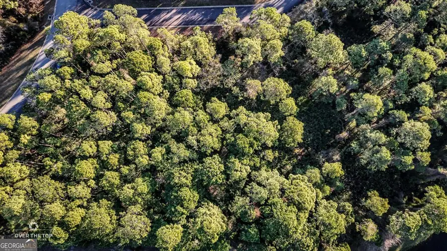 V/L 810 Galley Lane, Saint Marys, GA 31558 - #3