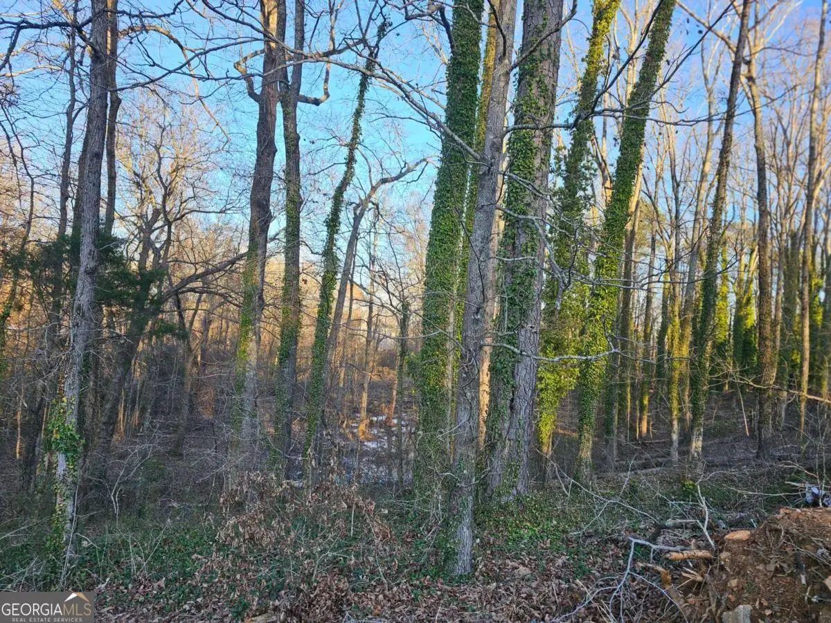 3060 Highway 20 Se, Conyers, GA 30013 - #1