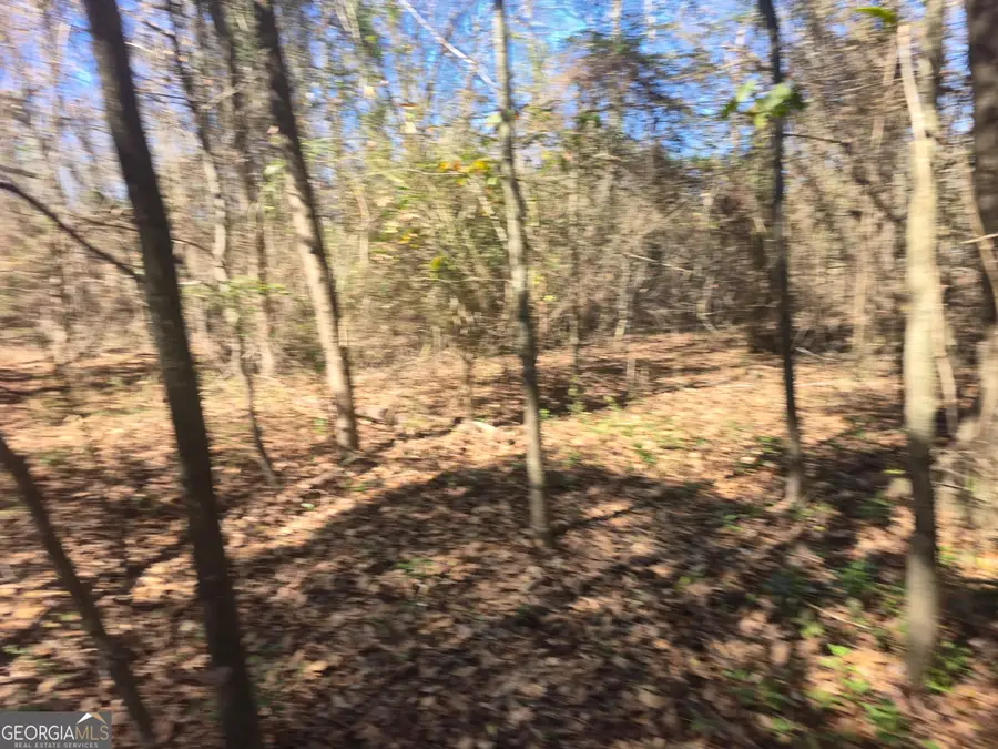 5.26 ACRES Old Knoxville Road, Knoxville, GA 31050 - #2