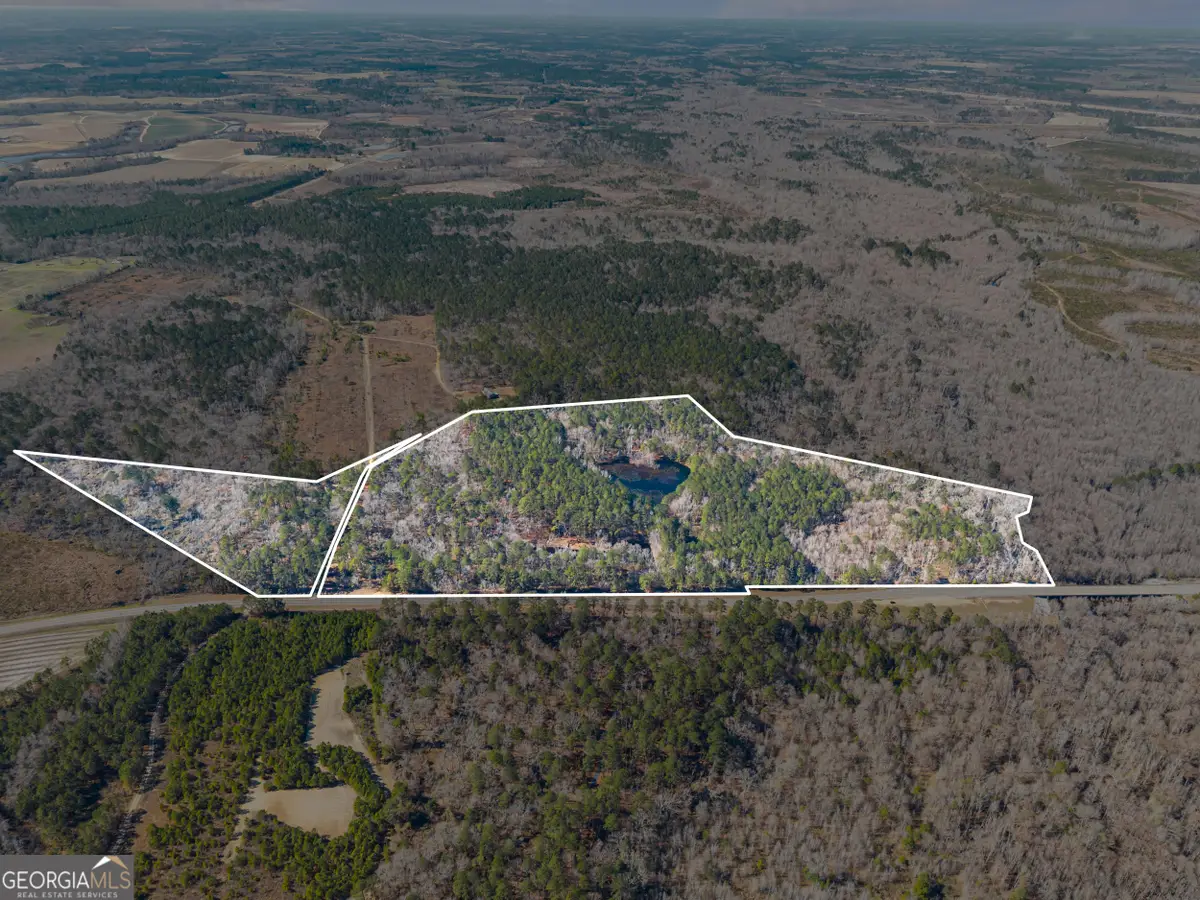 22701 S Highway 129, Cobbtown, GA 30420 - #1