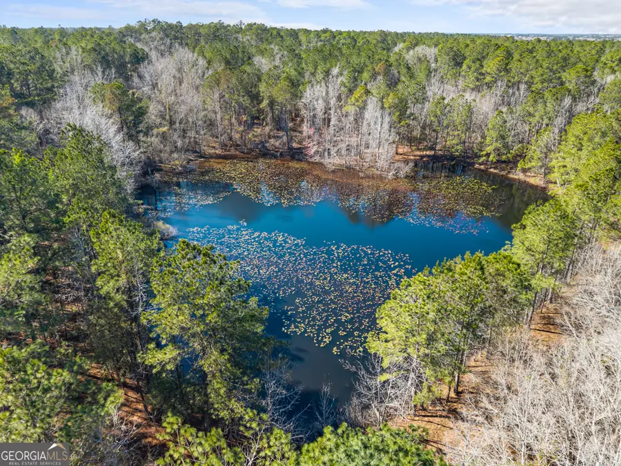 22701 S Highway 129, Cobbtown, GA 30420 - #2