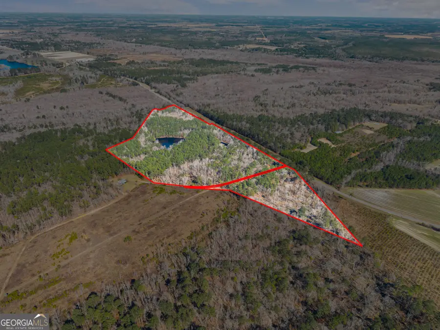 22701 S Highway 129, Cobbtown, GA 30420 - #3