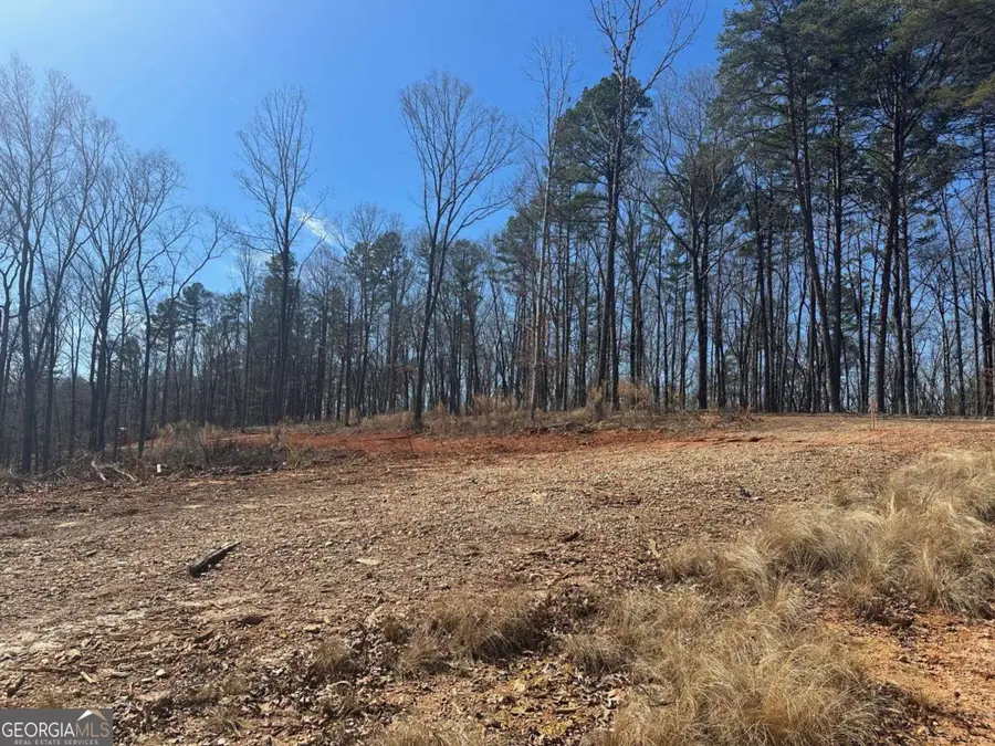 1305 Lawrence Road, Dawsonville, GA 30534 - #2