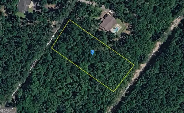 1545 Delegal Drive, Townsend, GA 31331