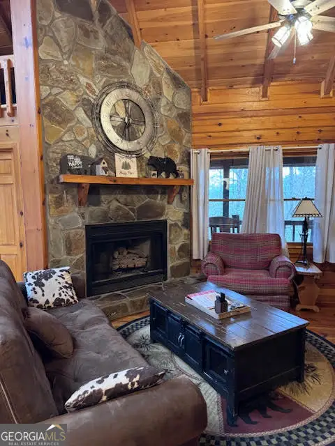 726 Cherry Lake Drive, Cherry Log, GA 30522 - #3