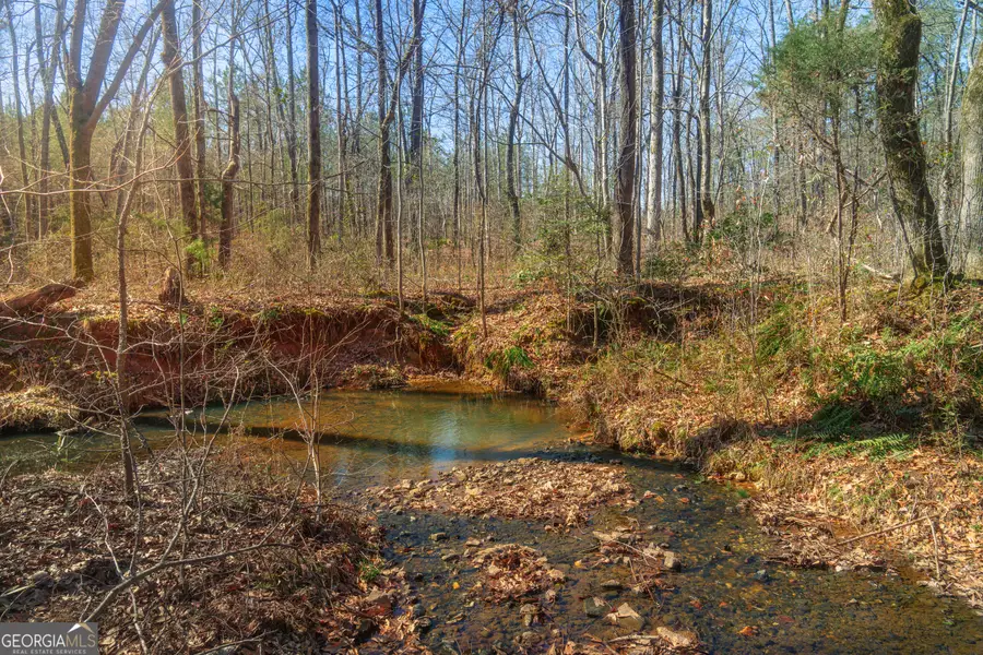 0 Hyannis Drive, Jackson, GA 30233 - #2