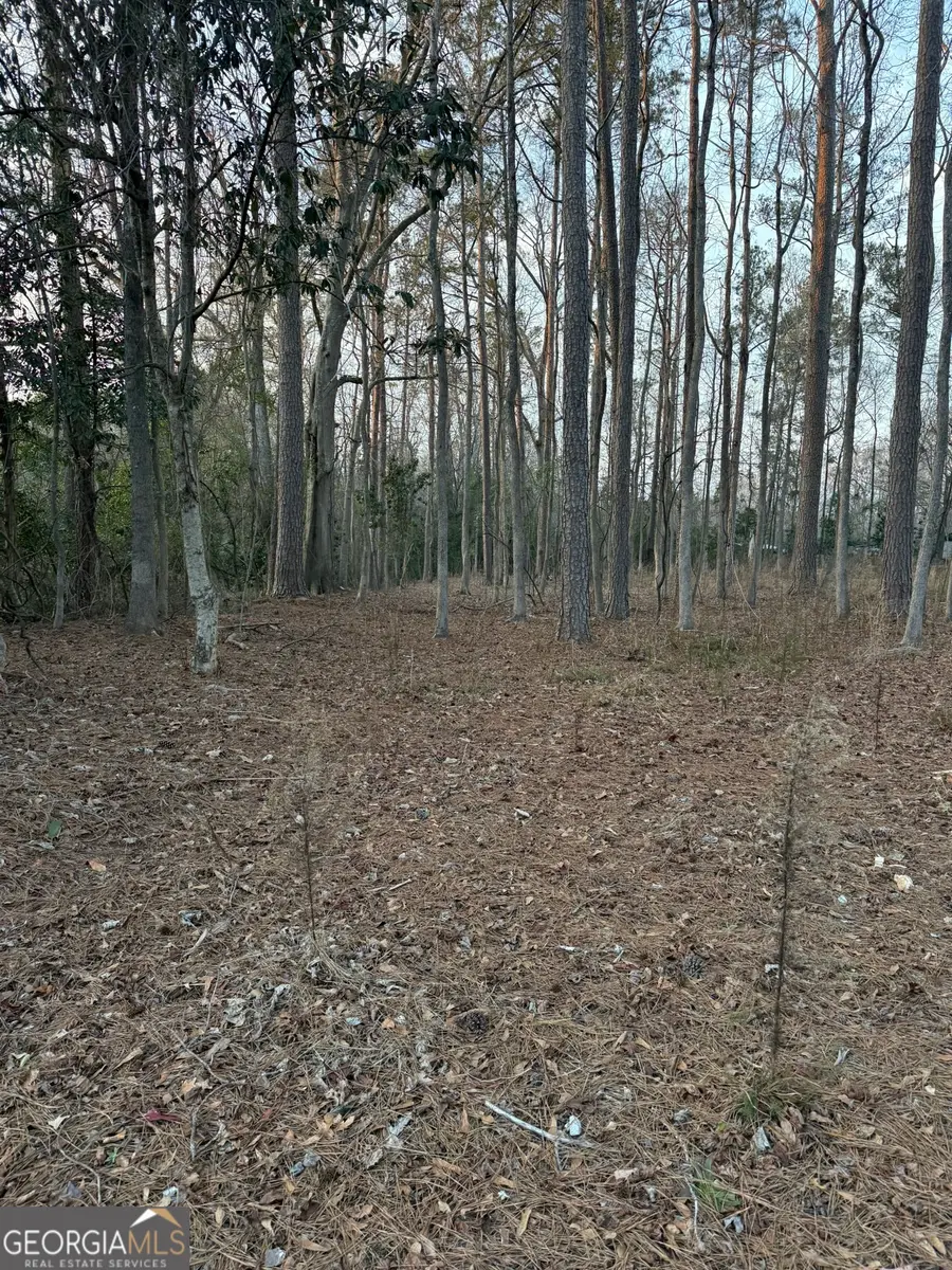 129 Wooten West Street, Tignall, GA 30668 - #3