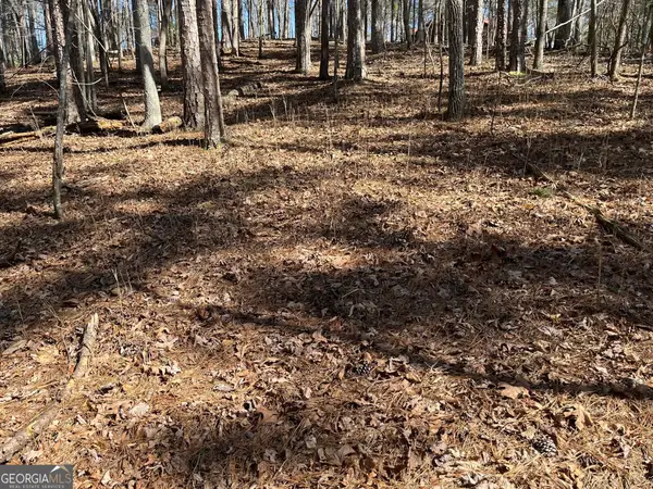 630 N Armor Way, Ellijay, GA 30540