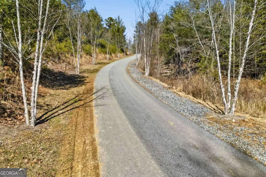 0 Mountain Laurel, Mineral Bluff, GA 30559 - #3