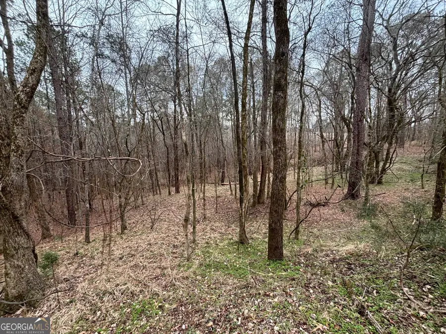 0 Oconee Rd Lot 1, Buckhead, GA 30625 - #2