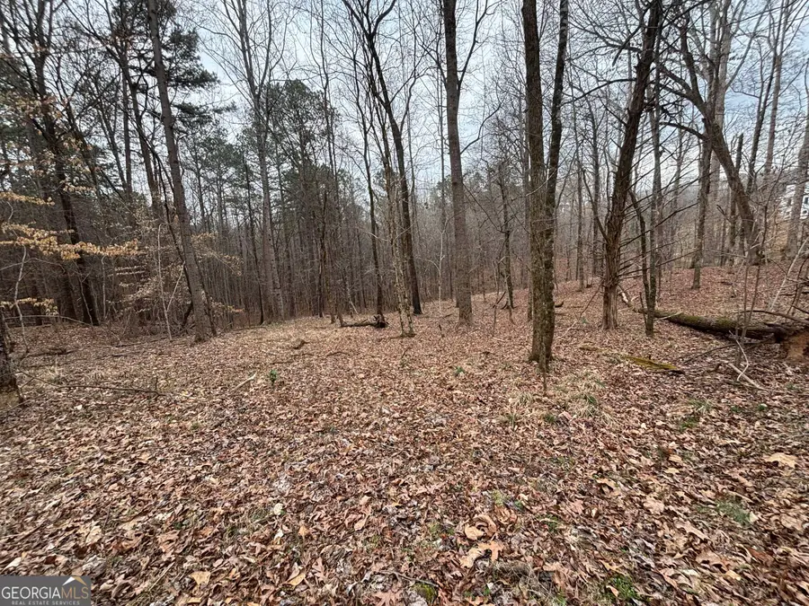 0 Oconee Rd Lot 1, Buckhead, GA 30625 - #3