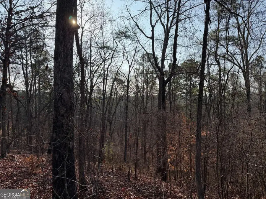 0 Lower Sweetwater Road, Canton, GA 30114 - #2