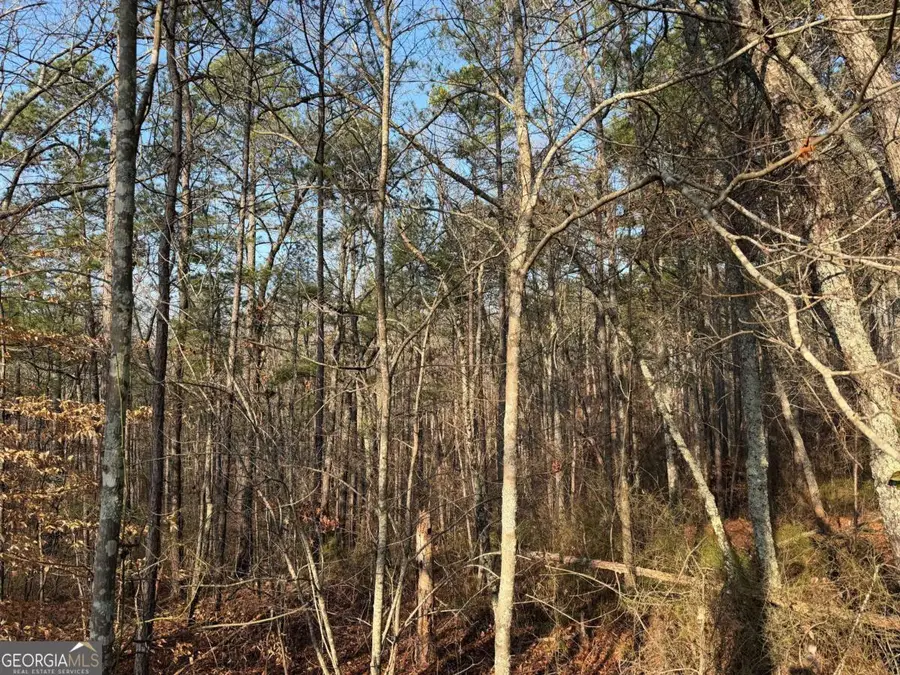 0 Lower Sweetwater Road, Canton, GA 30114 - #3