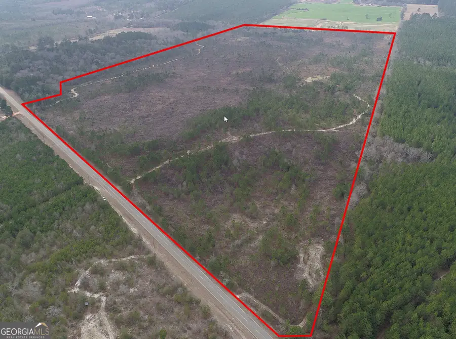 130.518 AC Ronnie Road, Buena Vista, GA 31803 - #2