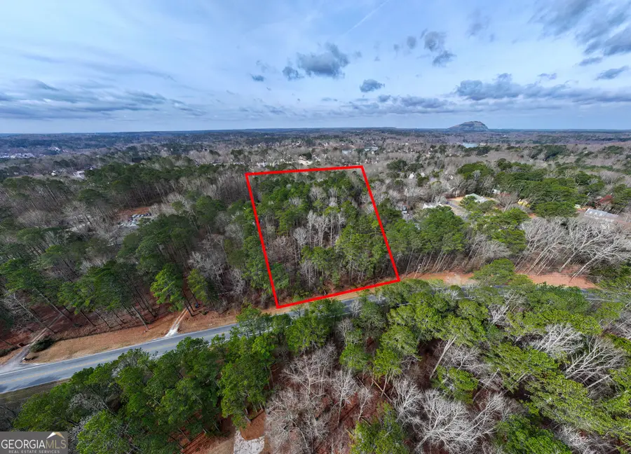 8.5 ACRES Rockbridge Road S, Stone Mountain, GA 30087 - #3