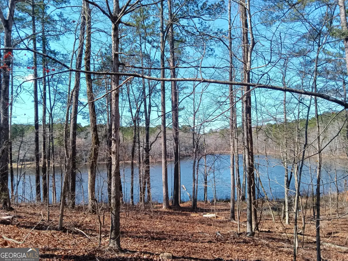 TRACT 1 Rivers Road, Fayetteville, GA 30214 - #1