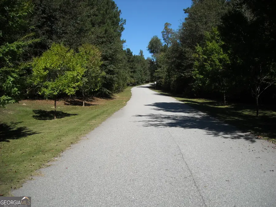 TRACT 1 Rivers Road, Fayetteville, GA 30214 - #3