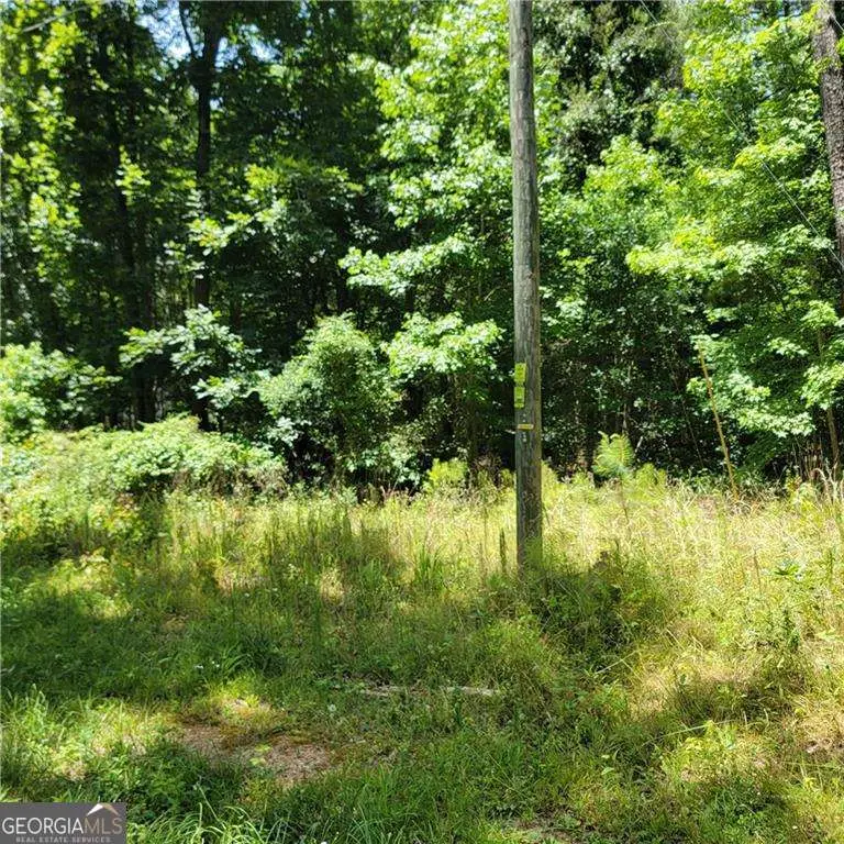 0 Spring Hill Drive, Covington, GA 30016 - #3