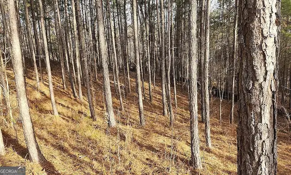 0 Whistler Lane, Canton, GA 30114