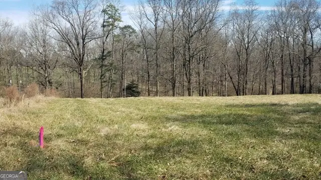 0000 Hwy 51 N, Homer, GA 30547 - #3