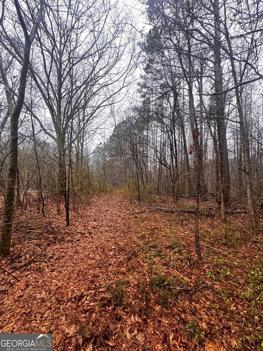 0 Deegee Road, Carrollton, GA 30117 - #2