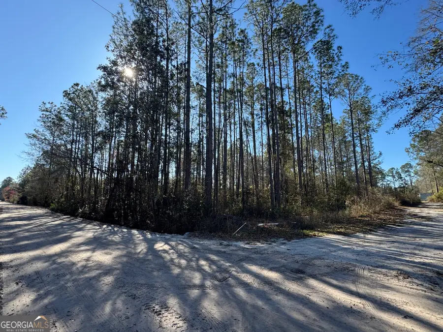 0 Robin Lane, Nahunta, GA 31553 - #2