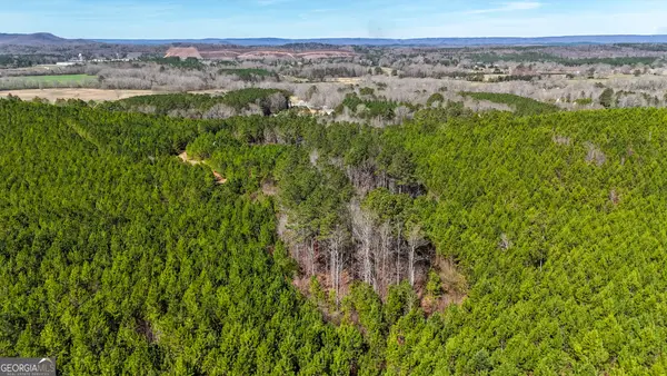 0 Highway 100, Summerville, GA 30747