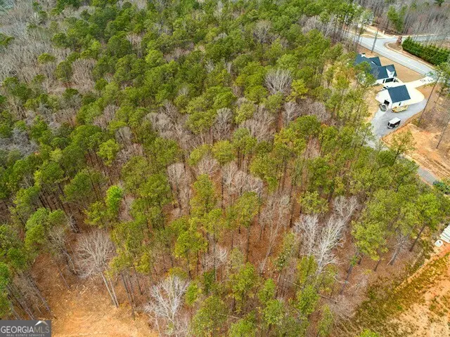 4243 Harmony Grove Church Road, Dallas, GA 30132 - #2