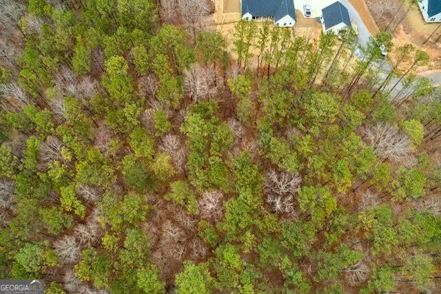 4243 Harmony Grove Church Road, Dallas, GA 30132 - #3