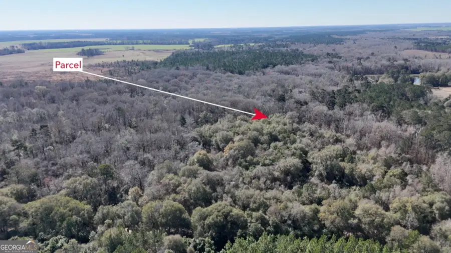 0 Highway 90, Byromville, GA 31007 - #2