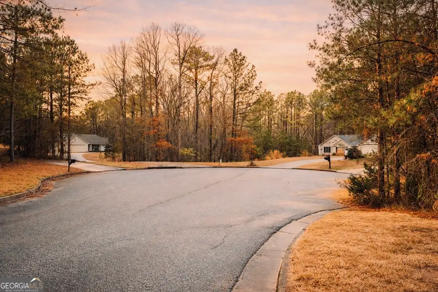 86 Concord Court, Senoia, GA 30276 - #3